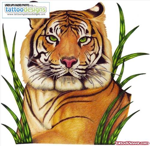 Amazing Color Ink Tiger Tattoo Design