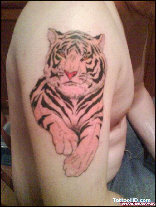 Tiger Tattoo On Man Right Half Sleeve