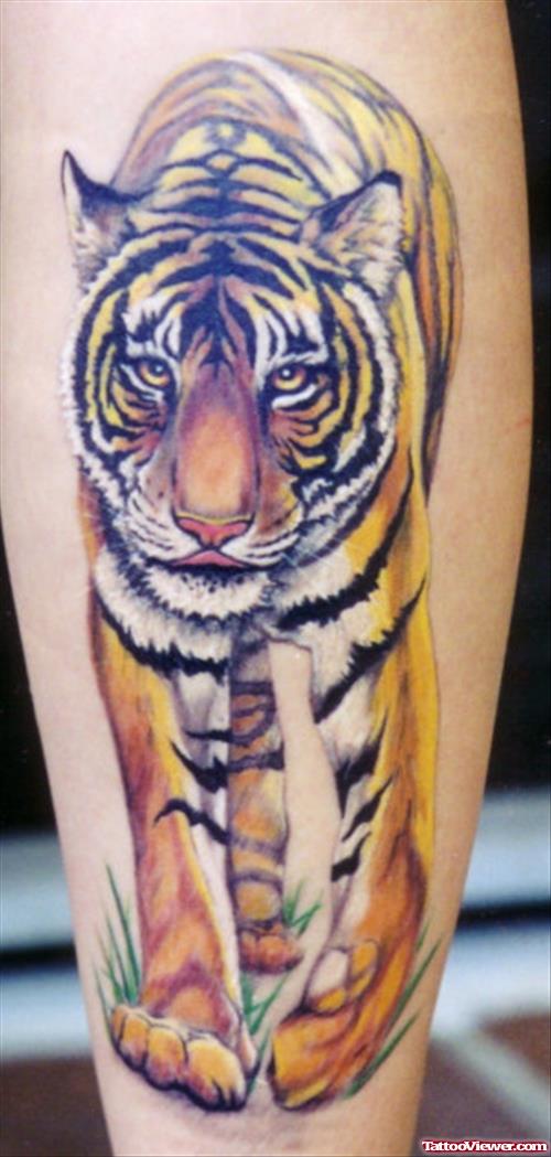 Color Ink Tiger Tattoo On Sleeve