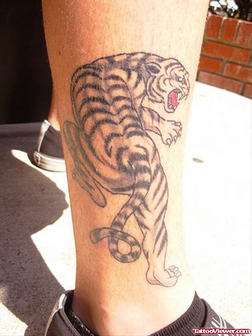 Amazing Grey Ink Tiger Tattoo On Right Leg