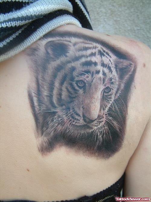 Grey Ink Tiger Head Tattoo On Right Back Shoulder