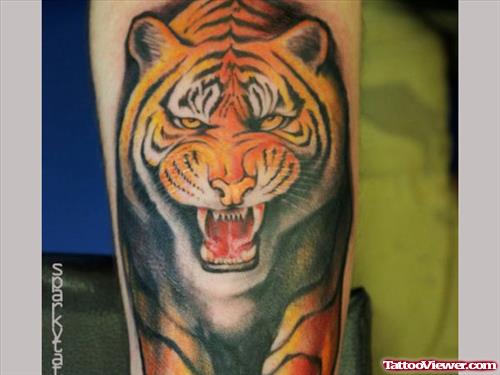 Color Ink Tiger Tattoo