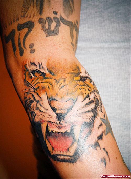 Best Color Ink Tiger Tattoo on Right Sleeve