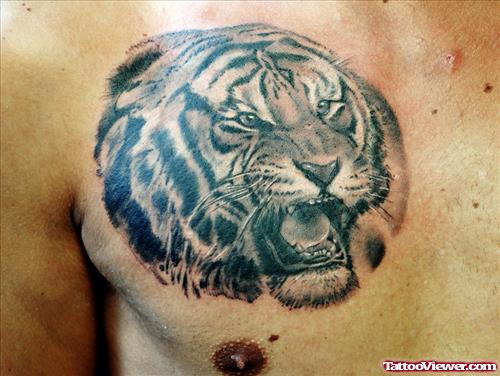 Grey Ink Tiger Head Tattoo On Chest