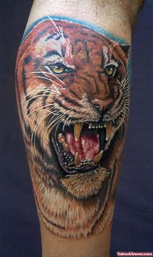 Color Ink Angry Tiger Head Tattoo On Leg