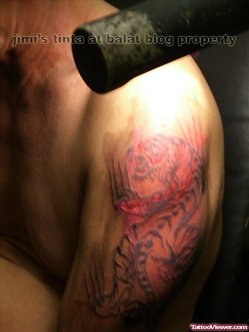 Awesome Tiger Tattoo On Man Left Half Sleeve