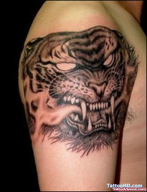 Amazing Grey Ink Tiger Head Tattoo On Right Shoulder