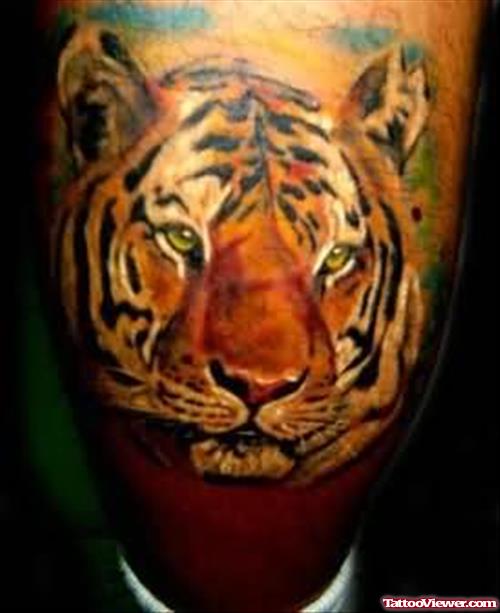 Amazing Color Ink Tiger Head Tattoo