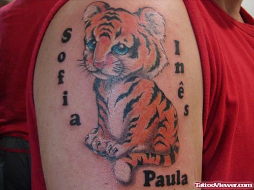 Amazing Color Ink Baby Tiger Tattoo On Shoulder