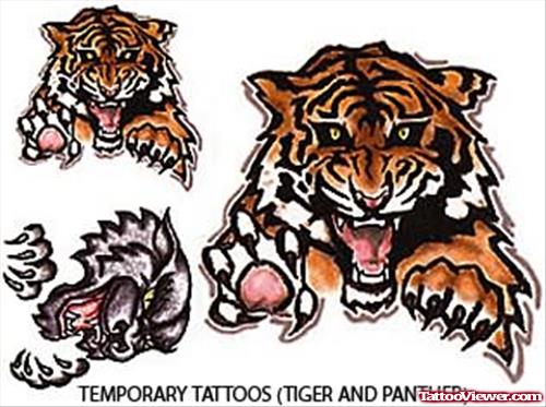 Tiger Tattoo Final By Tattoostime