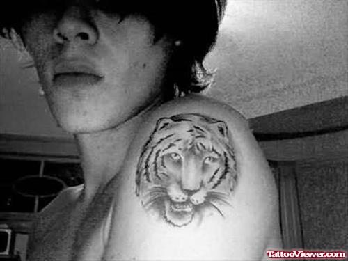 Tiger Tattoo Design On Biceps
