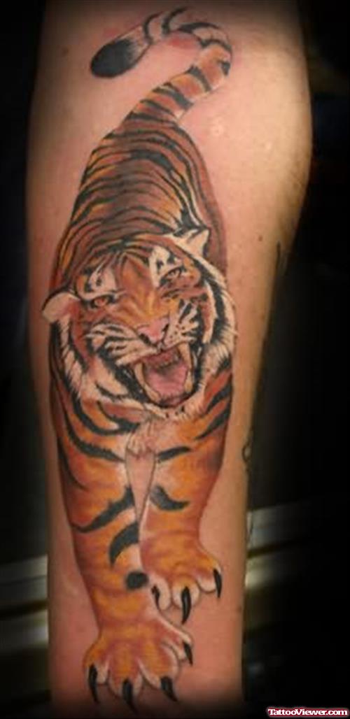 Nature Animal Tiger Tattoos