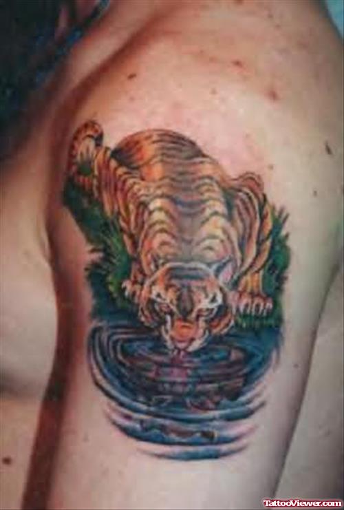 Drinking Water Tiger Tattoo