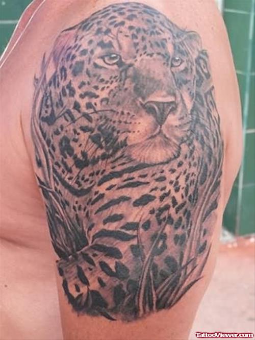 Tiger Spotted Tattoo On Shoulder
