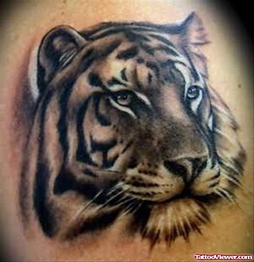 Tiger Head Tattoos Designs