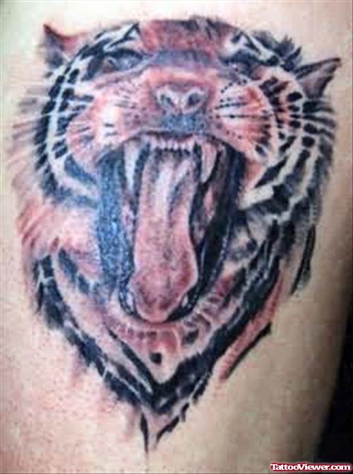 Open Mouth Tiger Tattoo