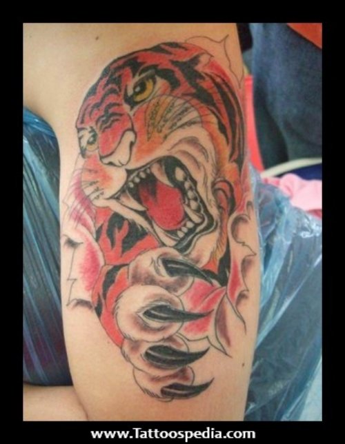 Angry Tiger Tattoo On Left Half Sleeve