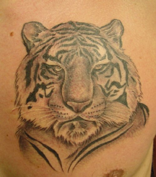 Grey Ink Tiger Tattoo On Man Chest