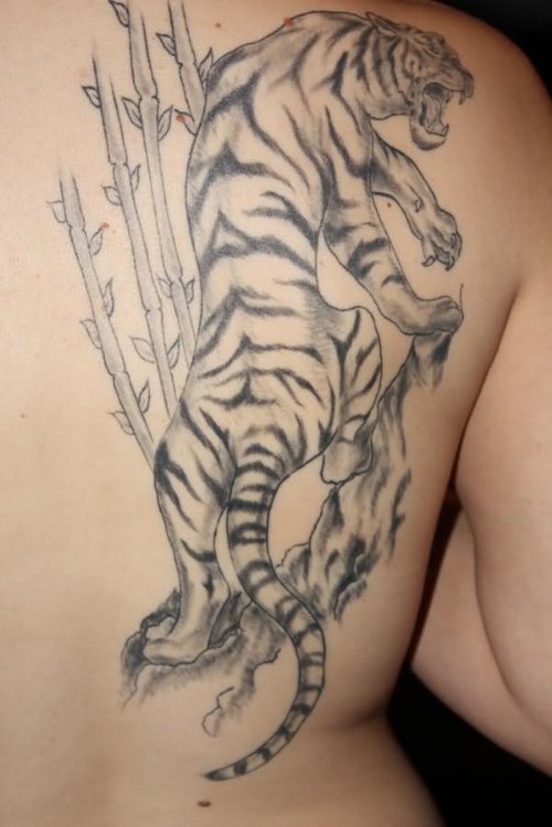 My Tiger Tattoo On Back