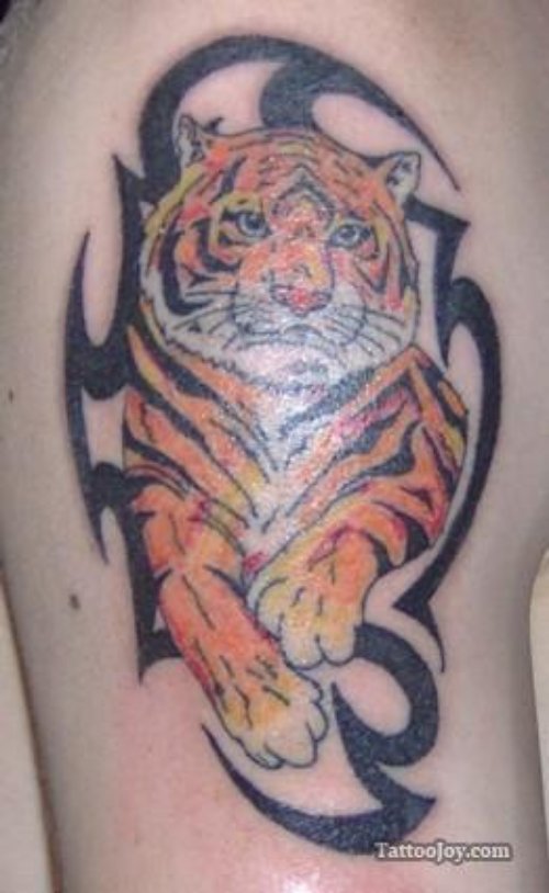 Black Tribal And Colored Tiger Tattoo