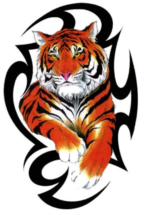 Tribal Tiger Colourful Design