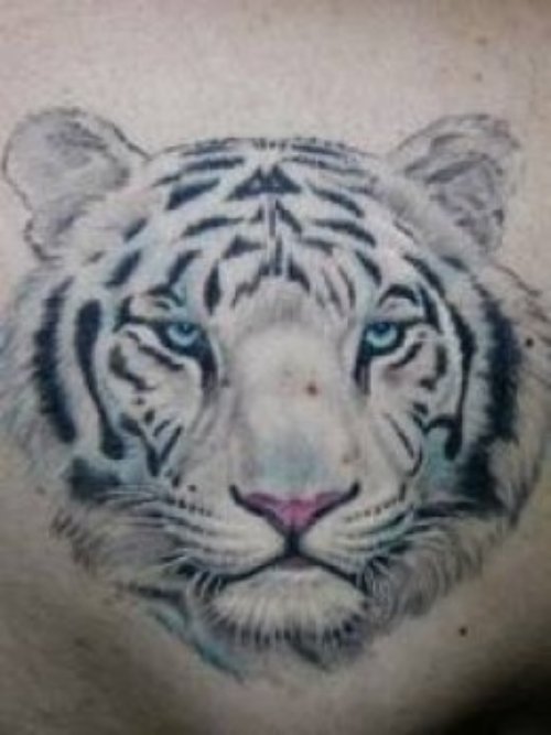 Grey Ink Tiger Head Tattoo