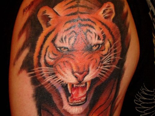 Roaring Tiger Tattoo On Shoulder