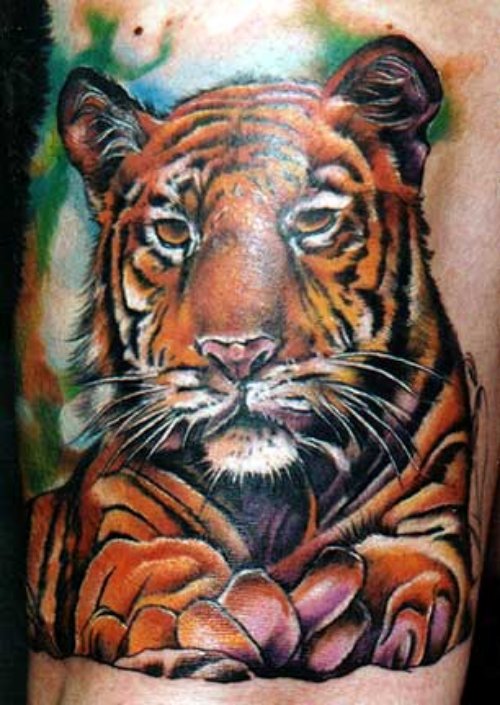Beautiful Cute Tiger Baby Tattoo