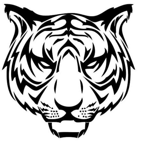 Best Tiger Tattoo Design