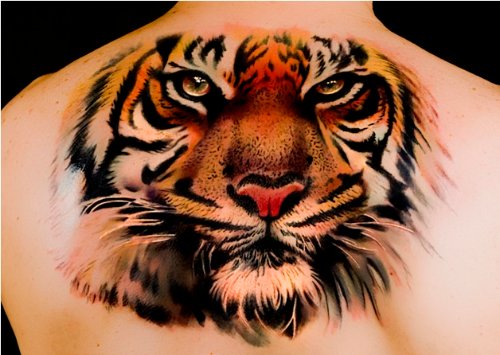 Tiger Tattoo On Man Upperback
