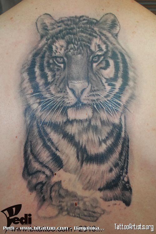 Grey Ink Tiger Tattoo On Back