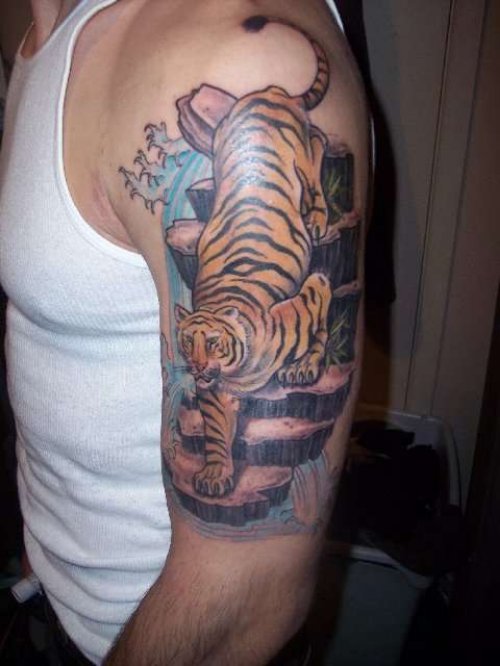 Man Left Half Sleeve Tiger Tattoo