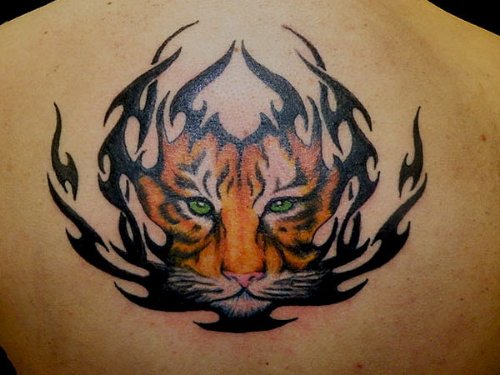 Tribal Colored Tiger Tattoo On Upperback