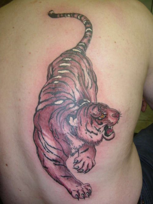 Tiger Tattoo On Man Back Body