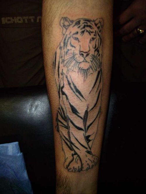 Wonderful  Grey Ink Tiger Tattoo On Sleeve
