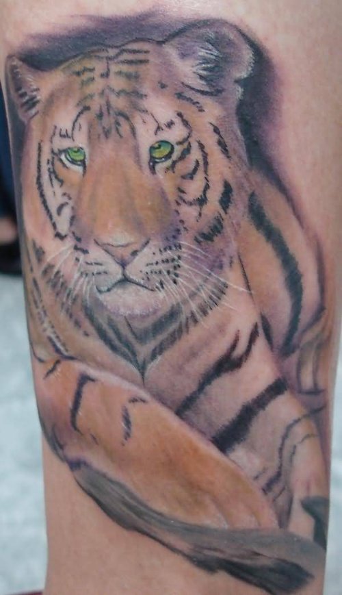 Realy Beautiful Tiger Tattoo