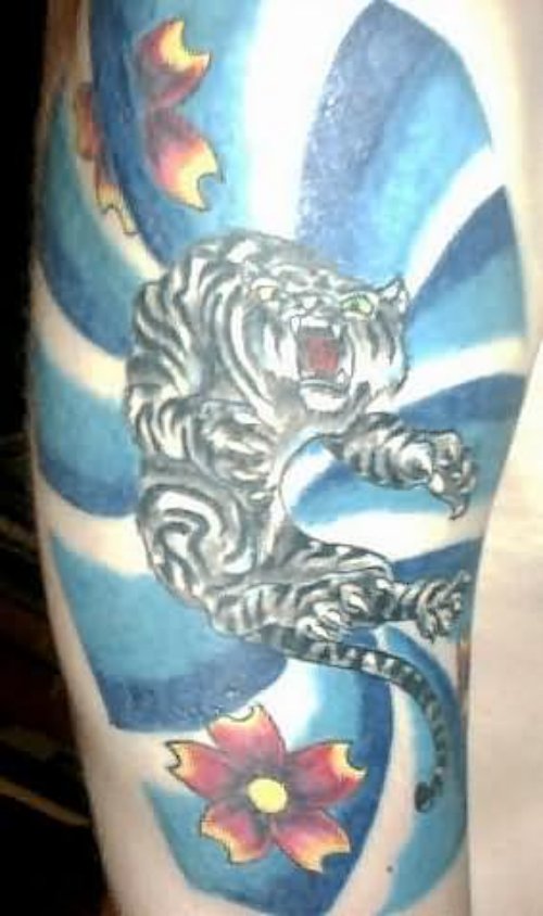 Picture Of White Tiger Tattoo