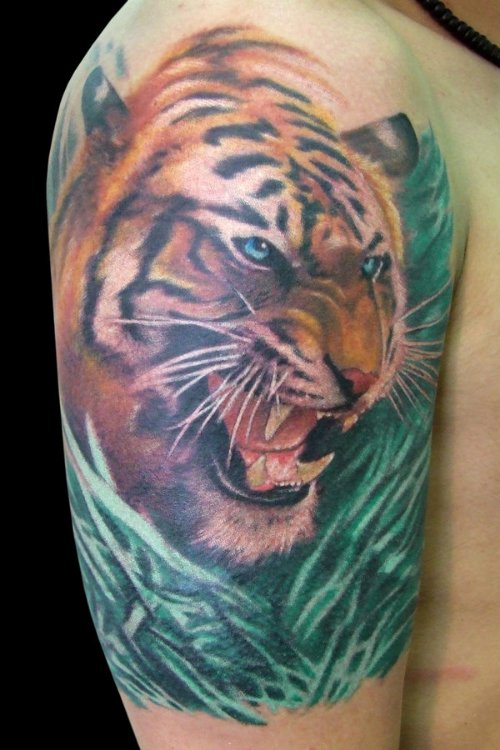 Awesome Colored Ink Tiger Tattoo On Right Half Sleeve