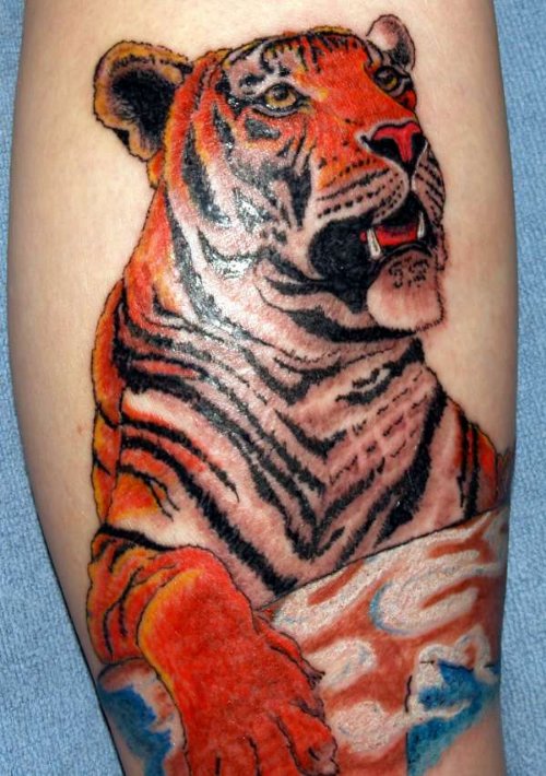 Colorful Tiger Tattoo For Guys