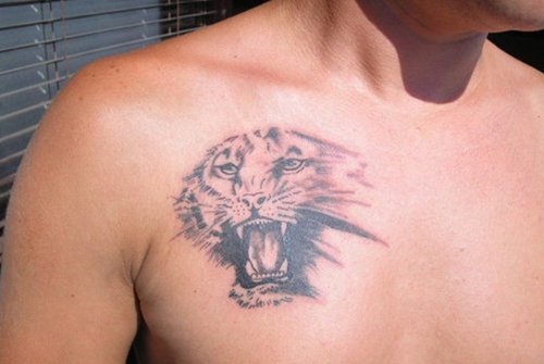 Awesome Grey Ink Tiger Head Tattoo On Man Chest
