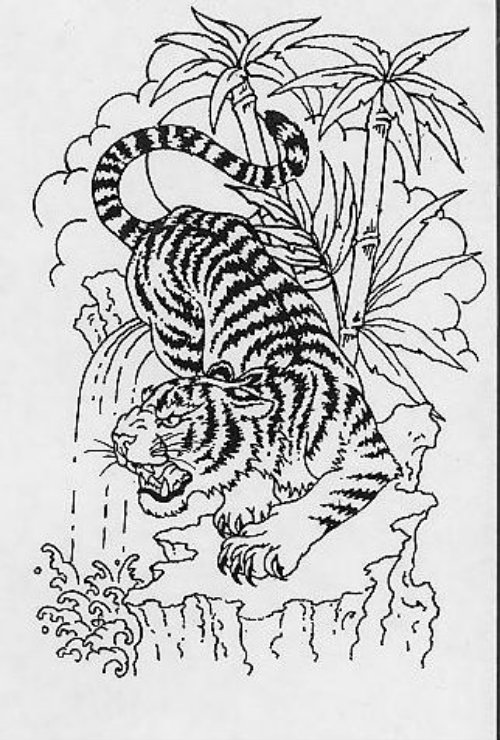Amazing Tiger Tattoo Design