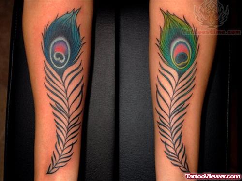 Traditioanl Feather Tattoo