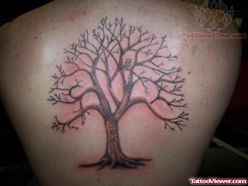 Empty Tree Tattoo On Back