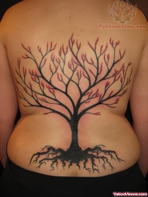 Beautiful Tree Tattoo On Back