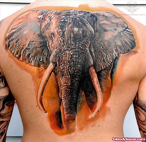 Tribal African Elephant Tattoo On Back