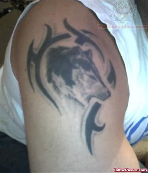 Wolf Tribal Tattoo on Shoulder