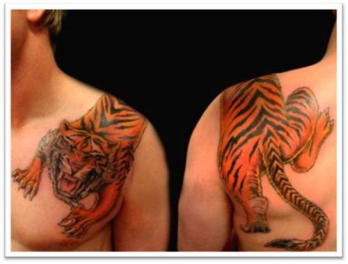 Tribal Tiger Color Ink Tattoo On Man Chest