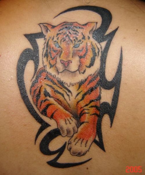 Color Ink Tiger and Black Tribal Tattoo