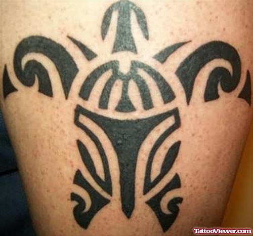 Amazing Design For Turtle Tattoos