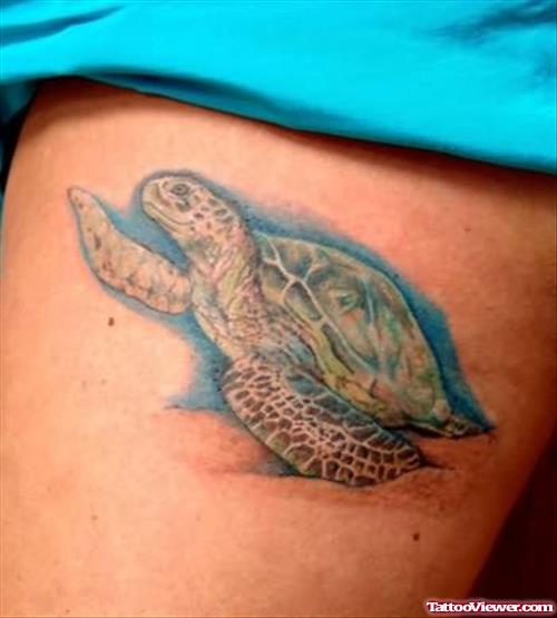 This Realistic Sea Turtle Tattoo